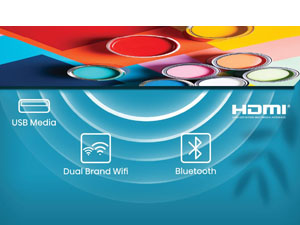 Bluetooth Connectivity